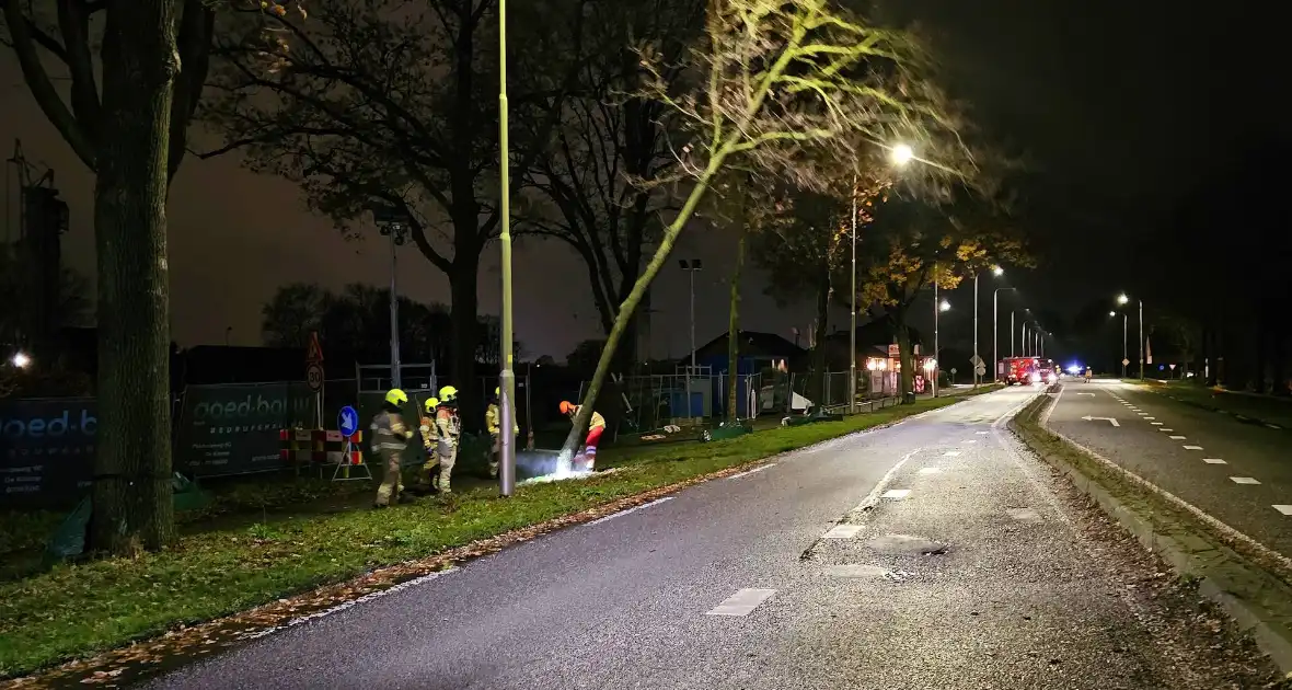 Brandweer zaagt over weg hangende boom om - Foto 3