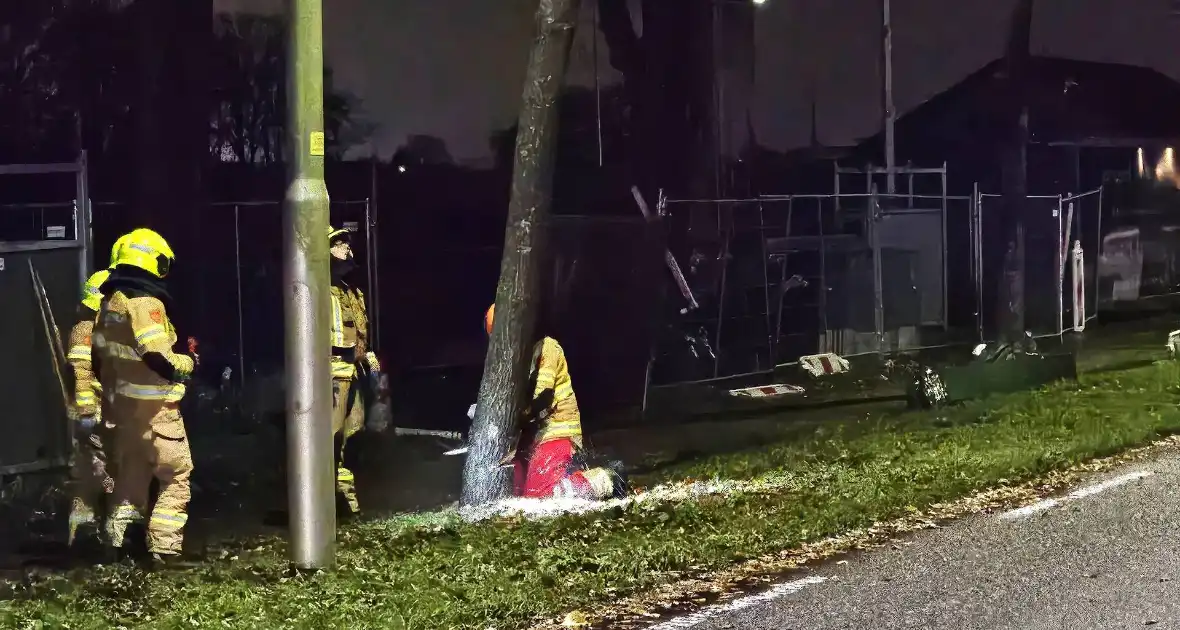 Brandweer zaagt over weg hangende boom om - Foto 5