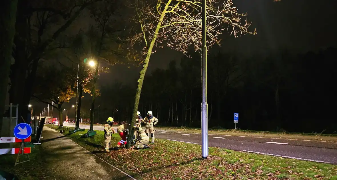 Brandweer zaagt over weg hangende boom om - Foto 7