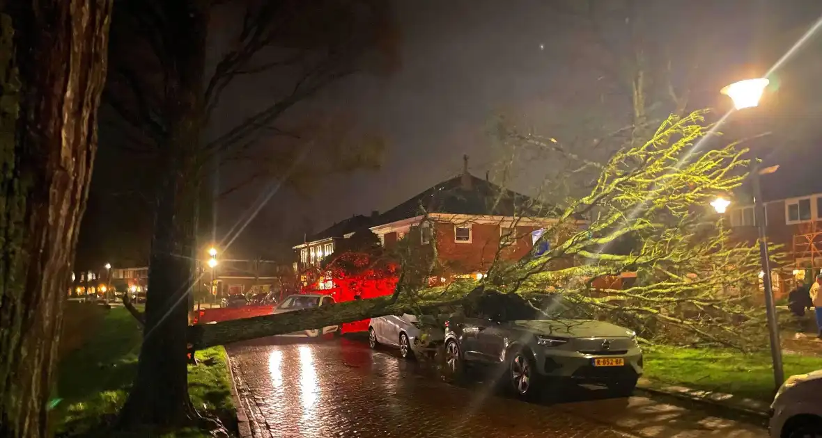 Drie bomen omgewaaid tijdens storm: aanzienlijke schade en afgesloten straat