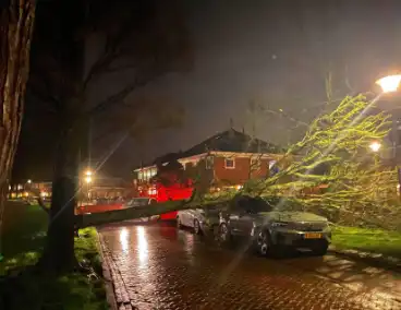 Drie bomen omgewaaid tijdens storm: aanzienlijke schade en afgesloten straat