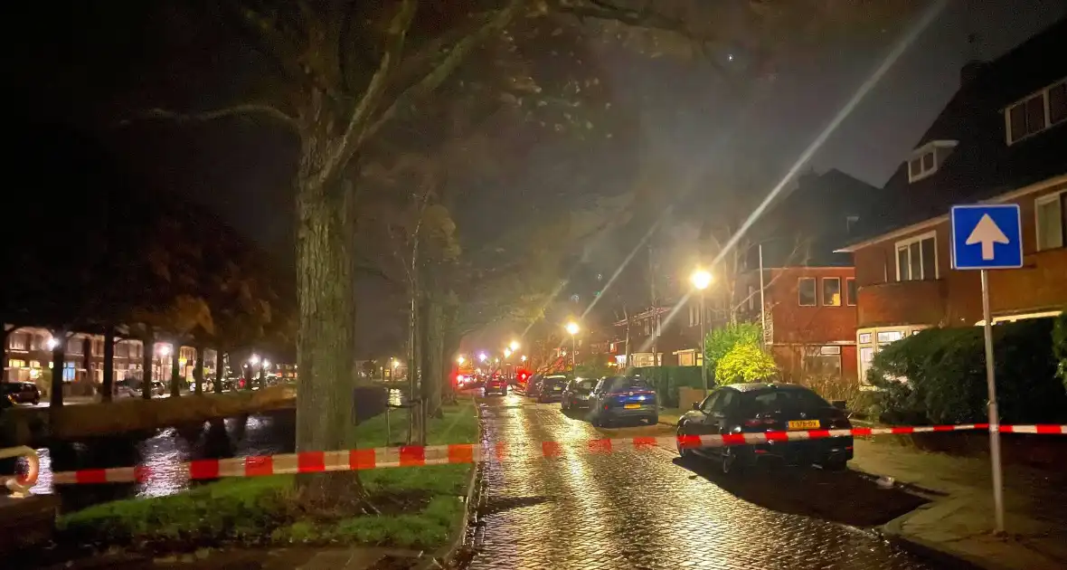 Drie bomen omgewaaid tijdens storm: aanzienlijke schade en afgesloten straat - Foto 1