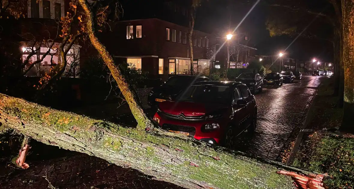 Drie bomen omgewaaid tijdens storm: aanzienlijke schade en afgesloten straat - Foto 3