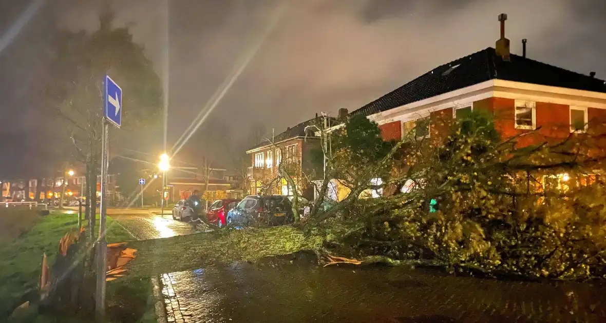 Drie bomen omgewaaid tijdens storm: aanzienlijke schade en afgesloten straat - Foto 4