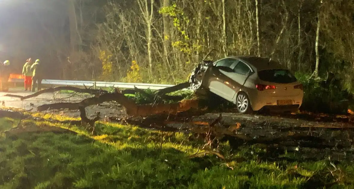 Auto crasht op omgevallen boom tijdens storm