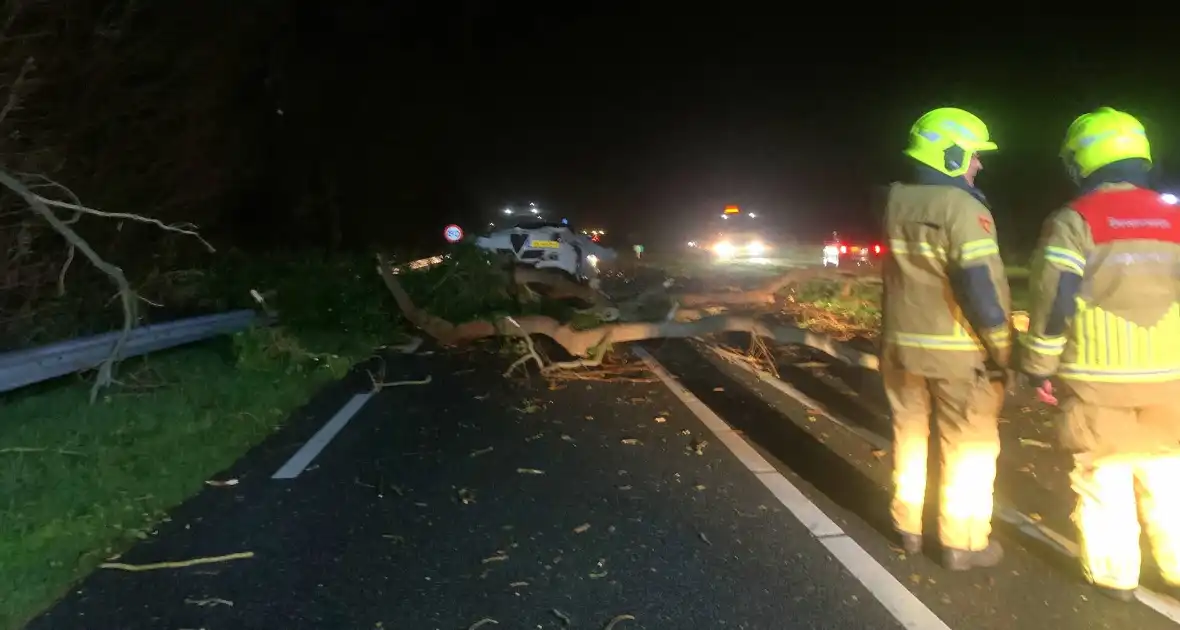 Auto crasht op omgevallen boom tijdens storm - Foto 2