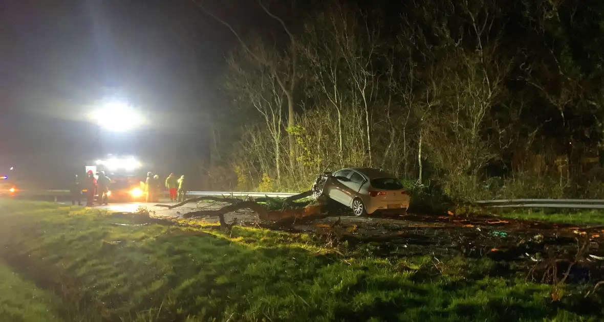 Auto crasht op omgevallen boom tijdens storm - Foto 3