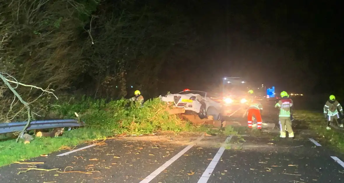 Auto crasht op omgevallen boom tijdens storm - Foto 4