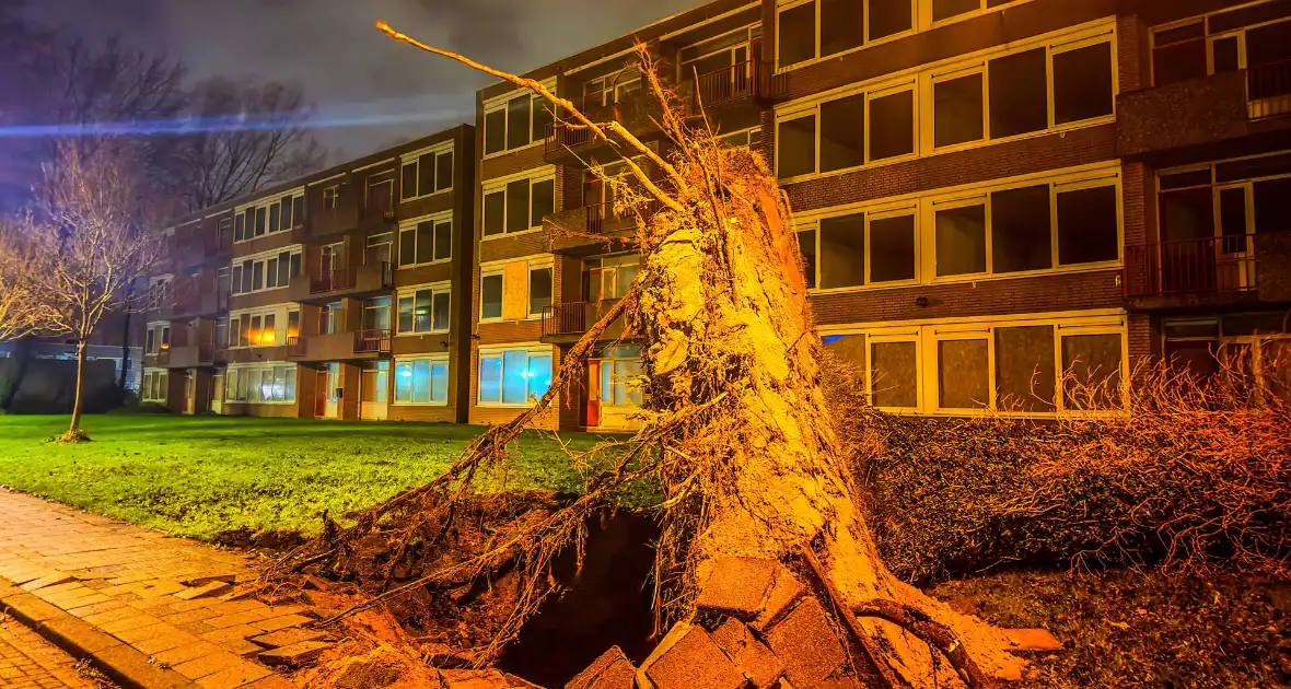 Enorme boom valt om door harde wind - Foto 1