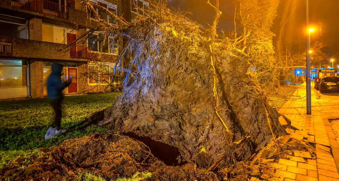 Enorme boom valt om door harde wind - Foto 5