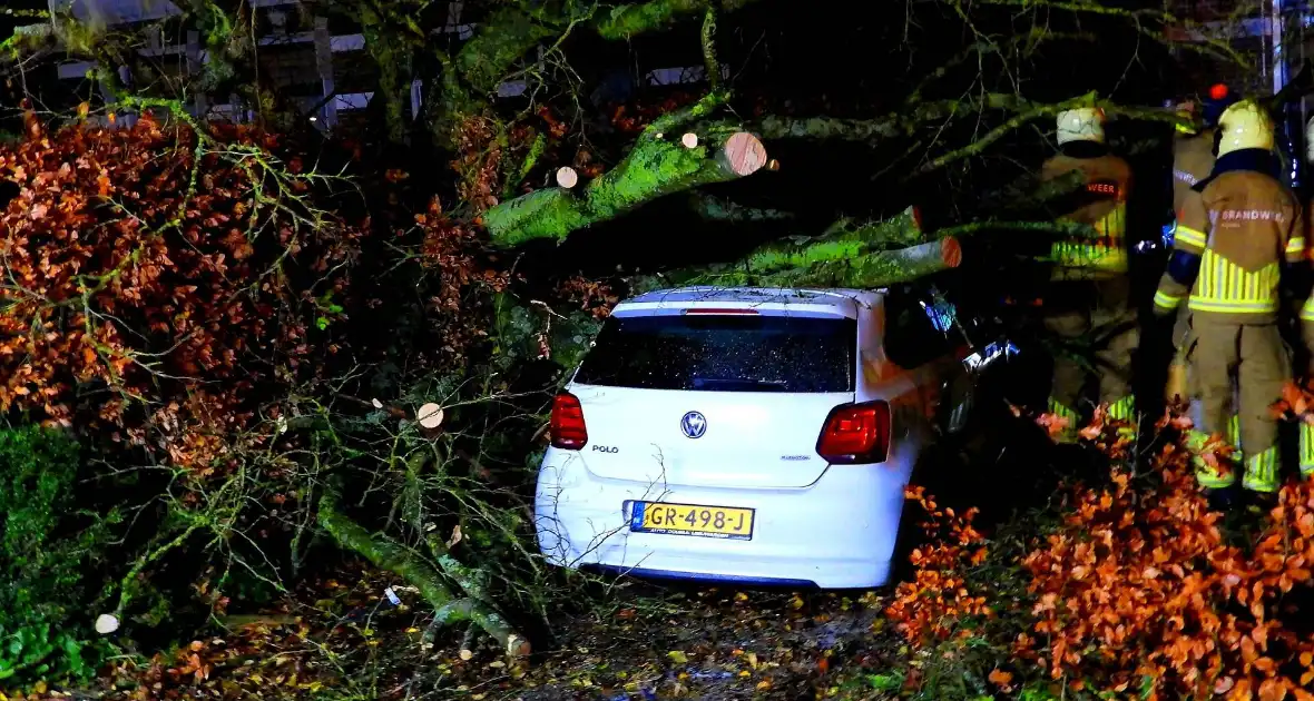 Auto bedolven onder boom, brandweer staakt zaagwerkzaamheden