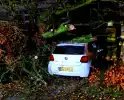 Auto bedolven onder boom, brandweer staakt zaagwerkzaamheden