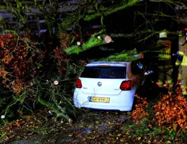 Auto bedolven onder boom, brandweer staakt zaagwerkzaamheden