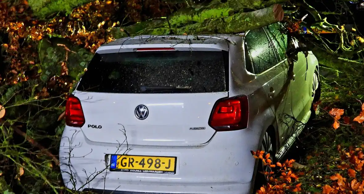 Auto bedolven onder boom, brandweer staakt zaagwerkzaamheden - Foto 1