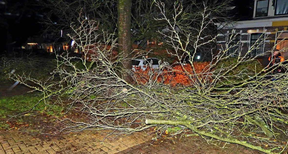 Auto bedolven onder boom, brandweer staakt zaagwerkzaamheden - Foto 10