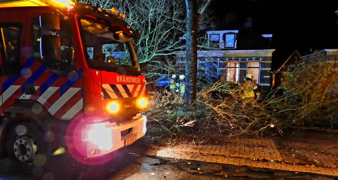 Auto bedolven onder boom, brandweer staakt zaagwerkzaamheden - Foto 11