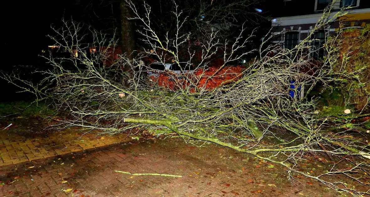 Auto bedolven onder boom, brandweer staakt zaagwerkzaamheden - Foto 2