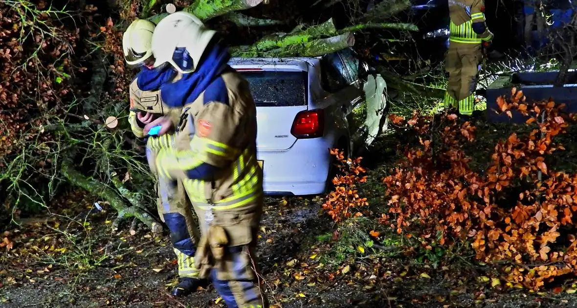 Auto bedolven onder boom, brandweer staakt zaagwerkzaamheden - Foto 3