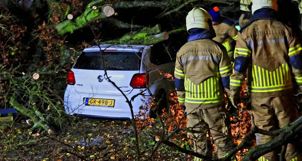 Auto bedolven onder boom, brandweer staakt zaagwerkzaamheden - Foto 4