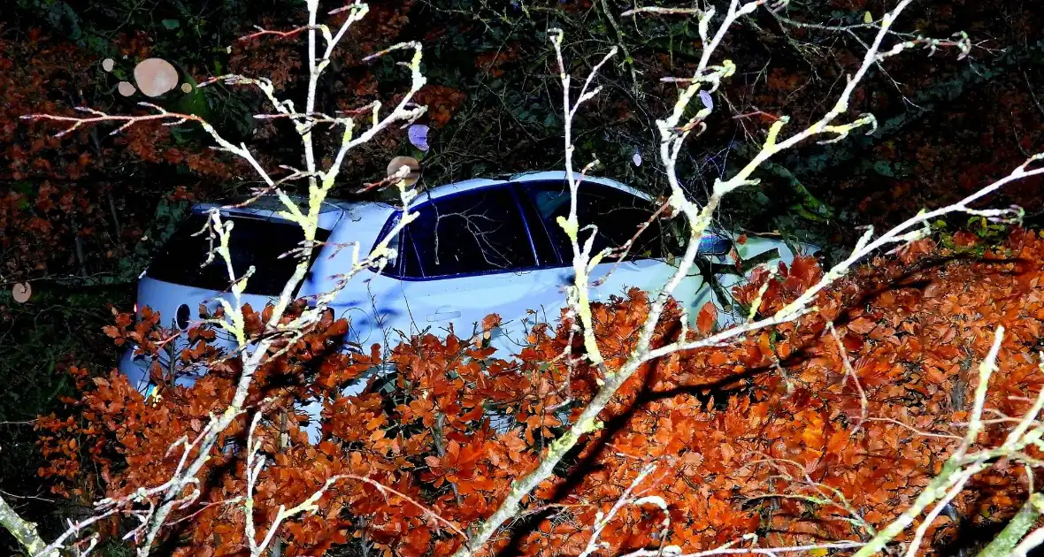 Auto bedolven onder boom, brandweer staakt zaagwerkzaamheden - Foto 5