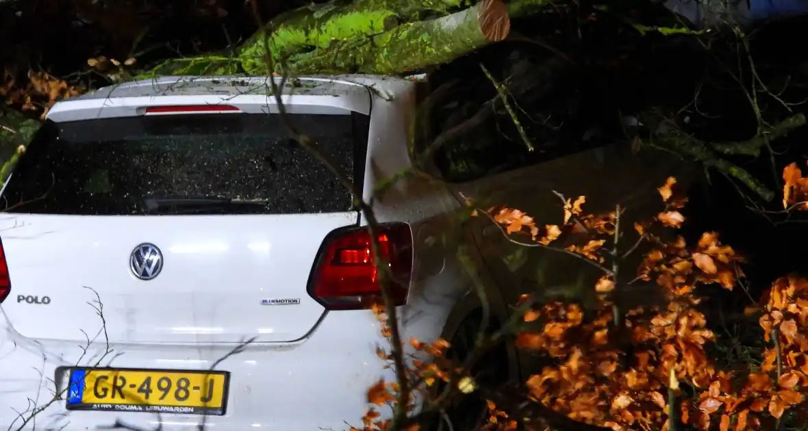 Auto bedolven onder boom, brandweer staakt zaagwerkzaamheden - Foto 6