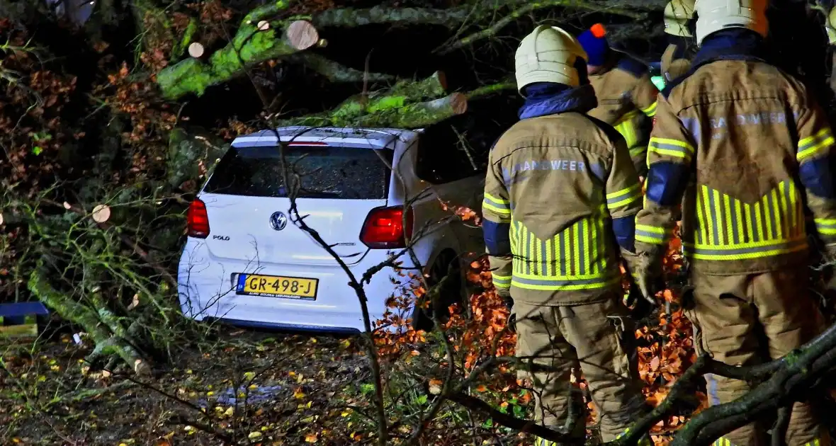 Auto bedolven onder boom, brandweer staakt zaagwerkzaamheden - Foto 7