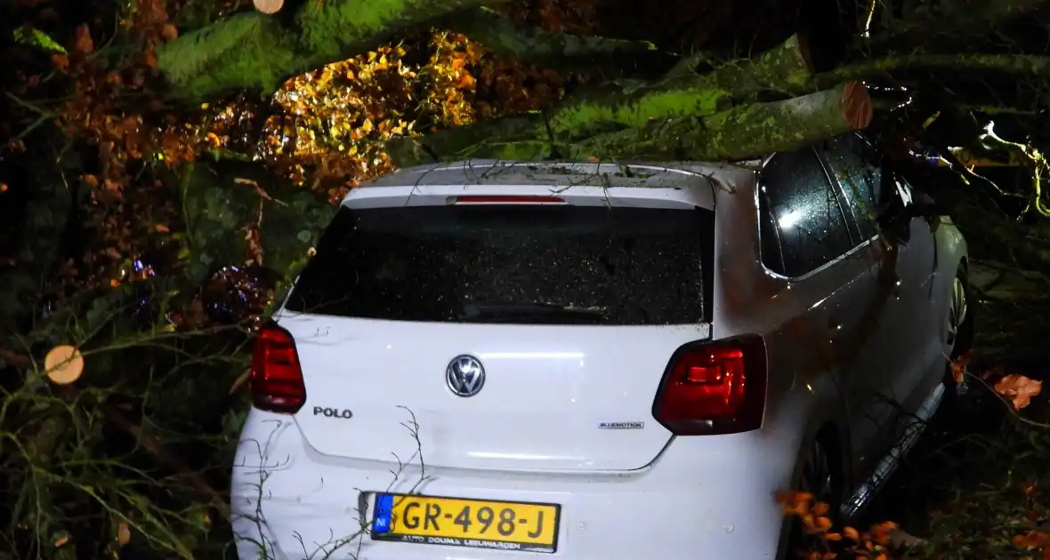 Auto bedolven onder boom, brandweer staakt zaagwerkzaamheden - Foto 8