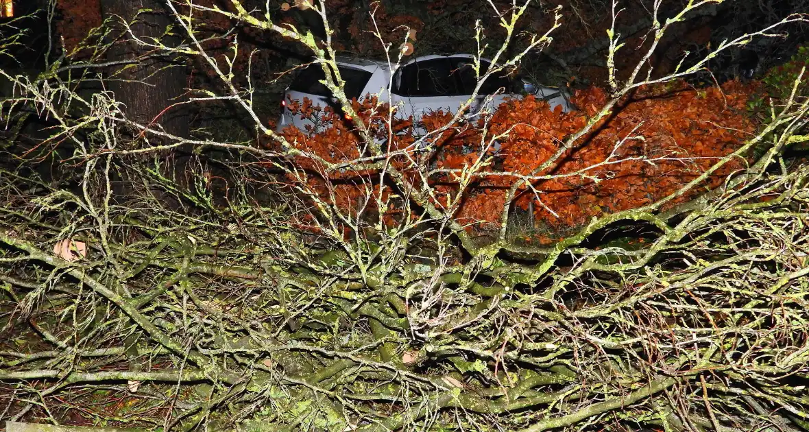 Auto bedolven onder boom, brandweer staakt zaagwerkzaamheden - Foto 9