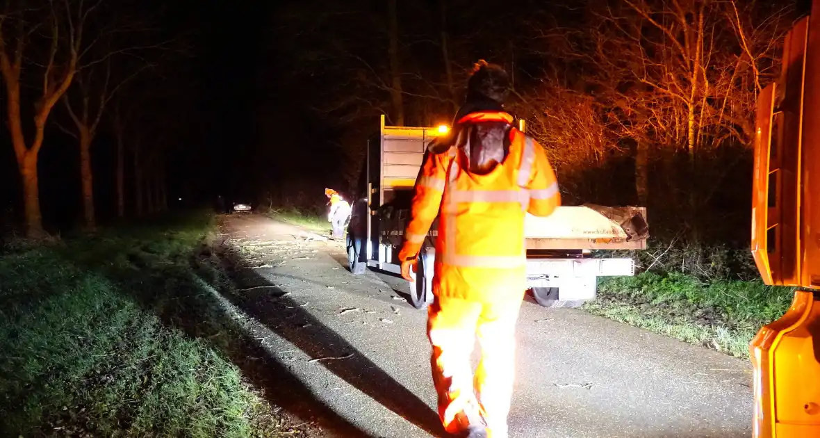 Auto komt vast te zitten tussen omgevallen bomen - Foto 2