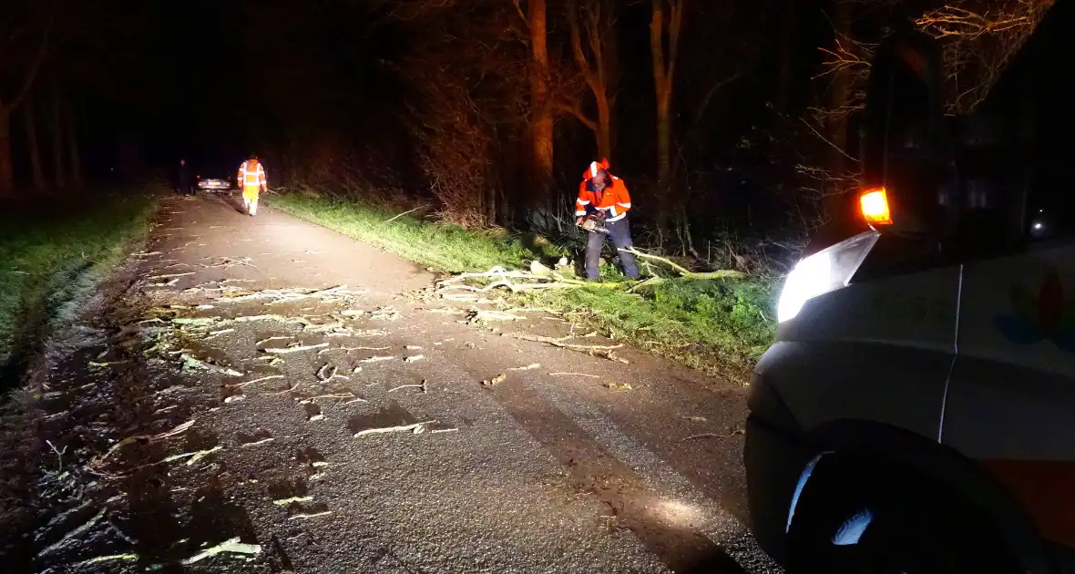 Auto komt vast te zitten tussen omgevallen bomen - Foto 3