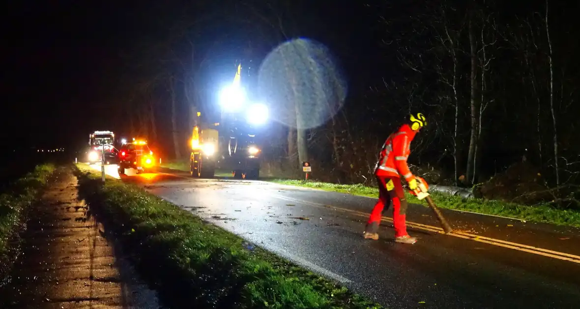 Auto komt vast te zitten tussen omgevallen bomen - Foto 5