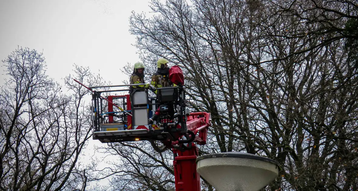 Brandweer assisteert bij kat in de boom