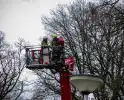 Brandweer assisteert bij kat in de boom