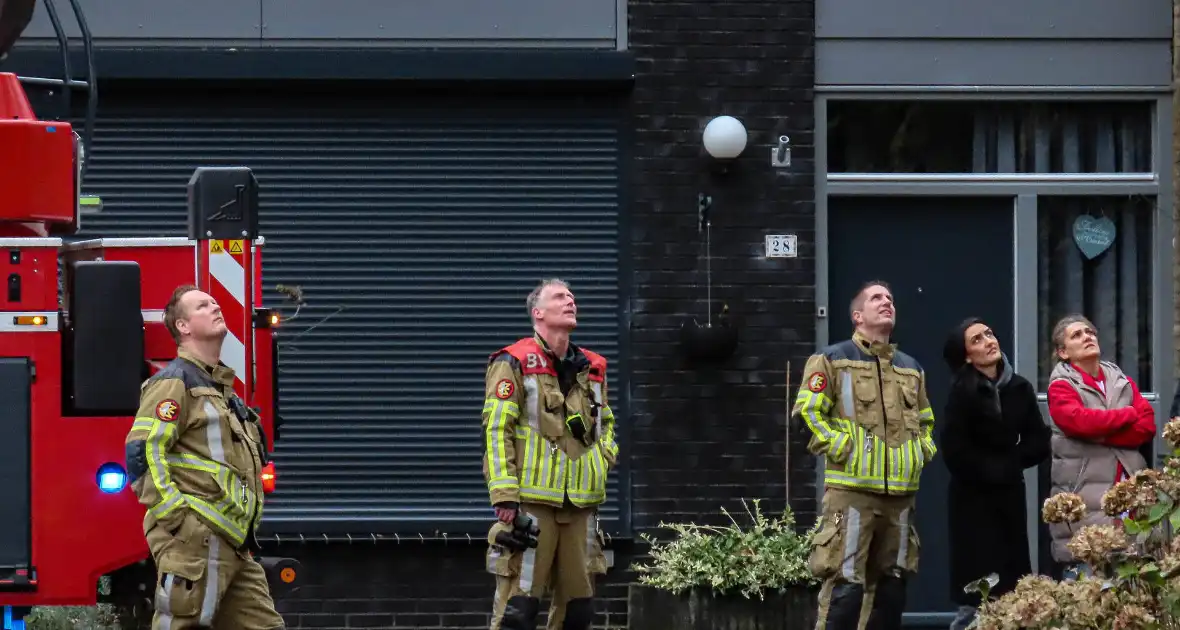 Brandweer assisteert bij kat in de boom - Foto 1