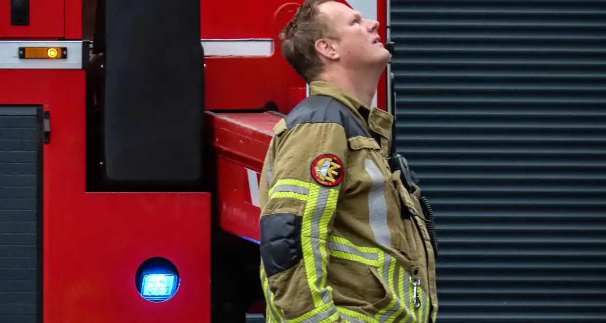 Brandweer assisteert bij kat in de boom - Foto 3