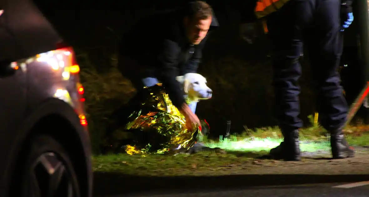 Persoon naar ziekenhuis na eenzijdig ongeval met boom - Foto 3