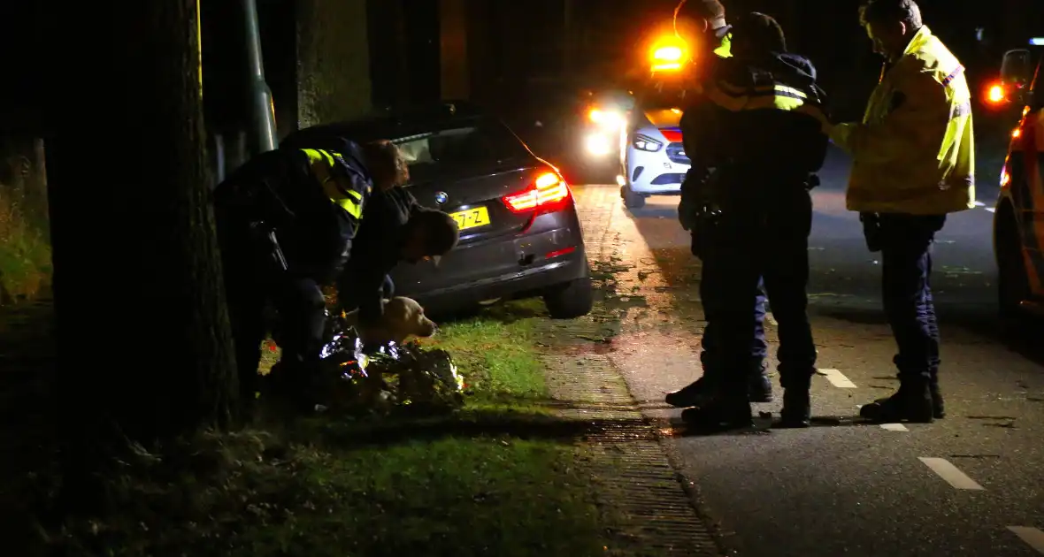 Persoon naar ziekenhuis na eenzijdig ongeval met boom - Foto 5