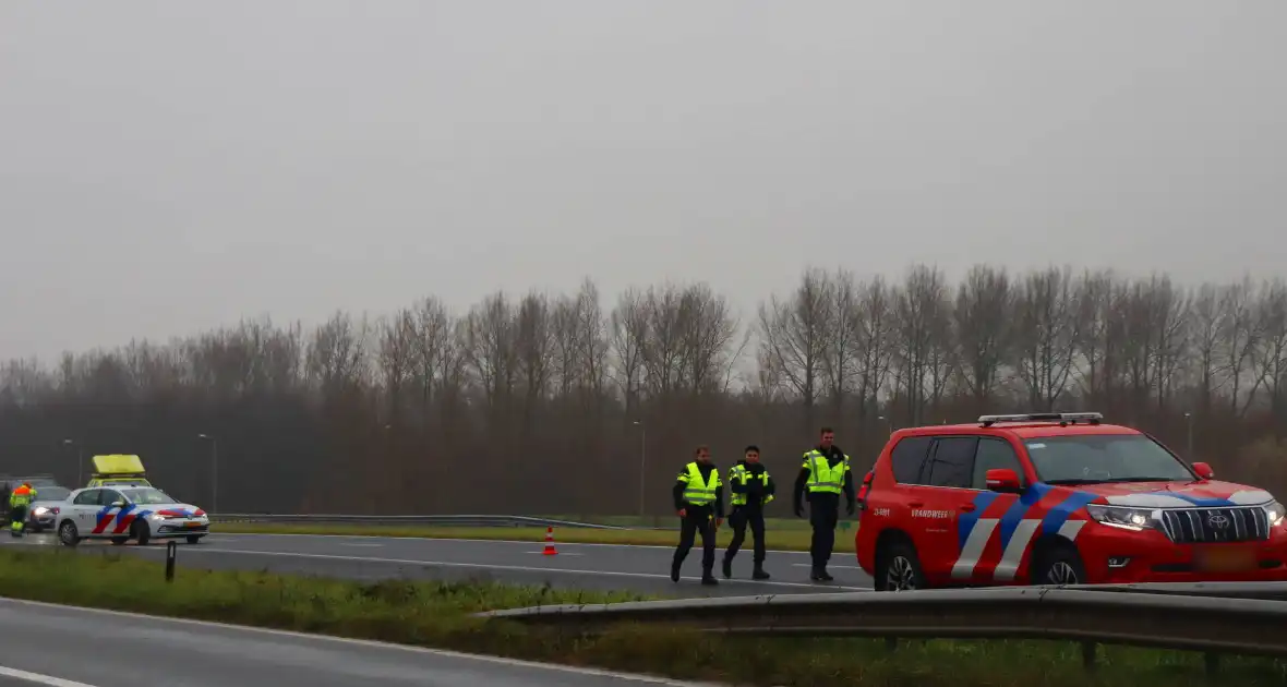 Snelweg afgesloten wegens hulp aan paard - Foto 1