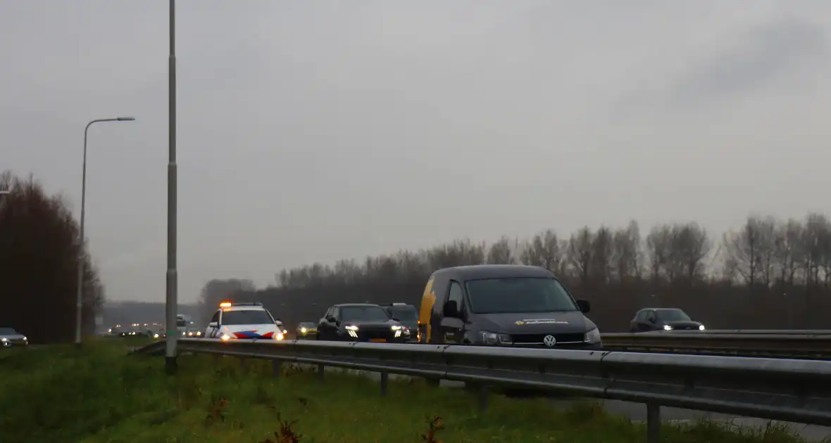 Snelweg afgesloten wegens hulp aan paard - Foto 2