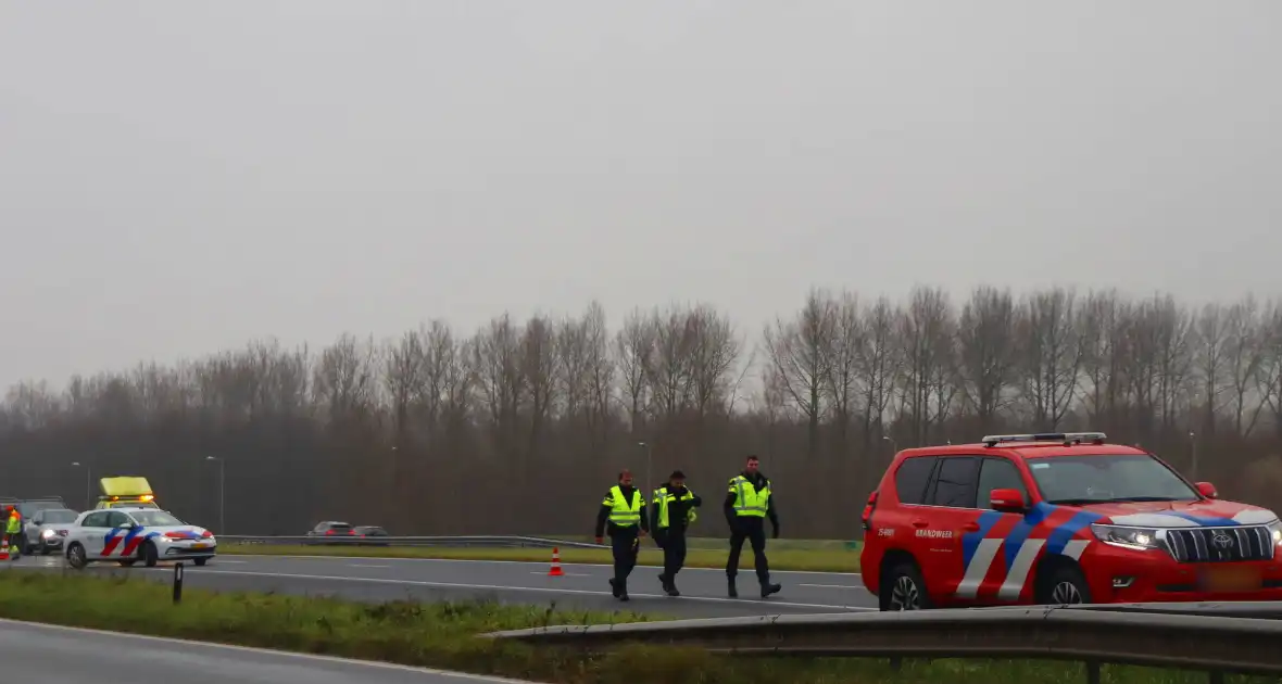 Snelweg afgesloten wegens hulp aan paard - Foto 3