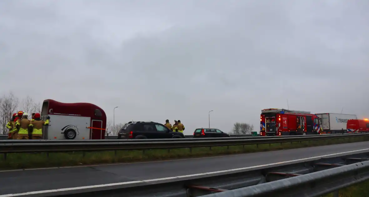 Snelweg afgesloten wegens hulp aan paard - Foto 5