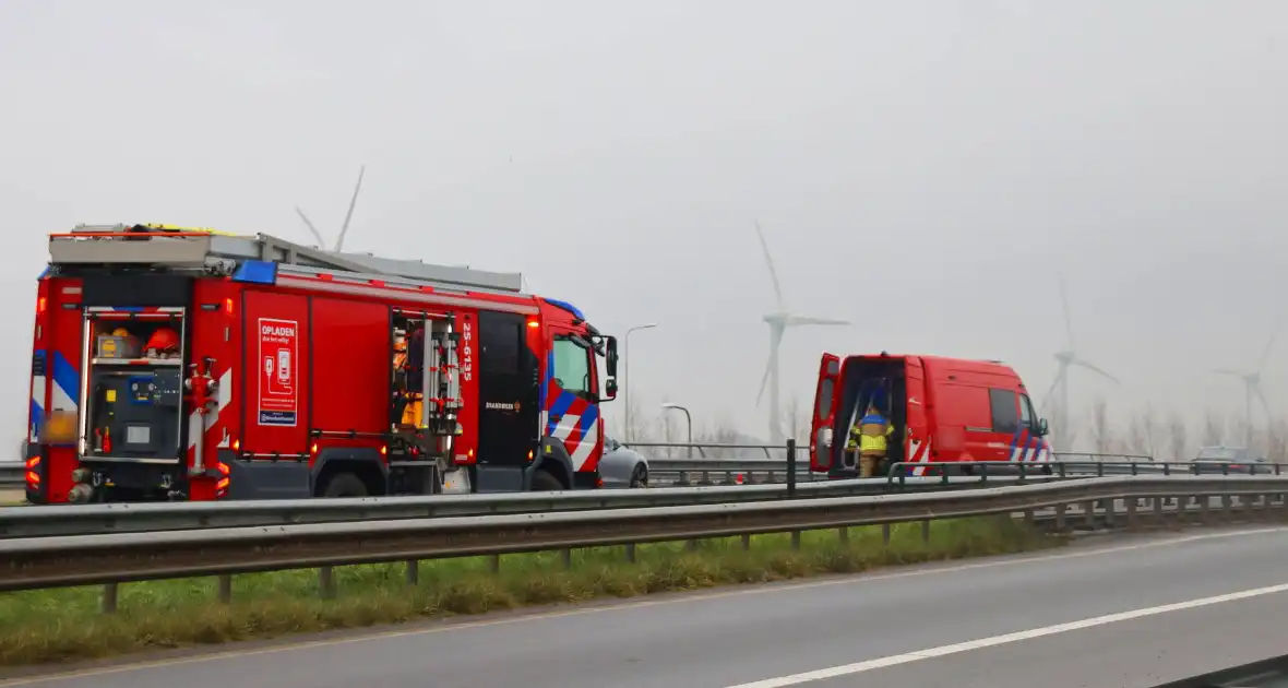 Snelweg afgesloten wegens hulp aan paard - Foto 7