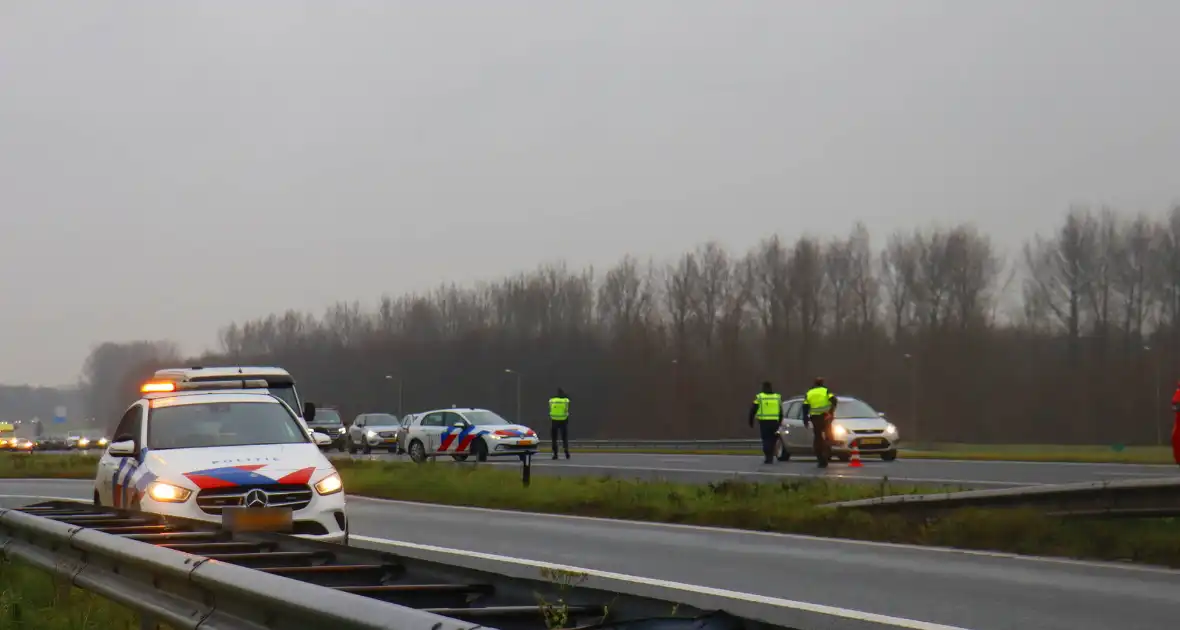 Snelweg afgesloten wegens hulp aan paard - Foto 8