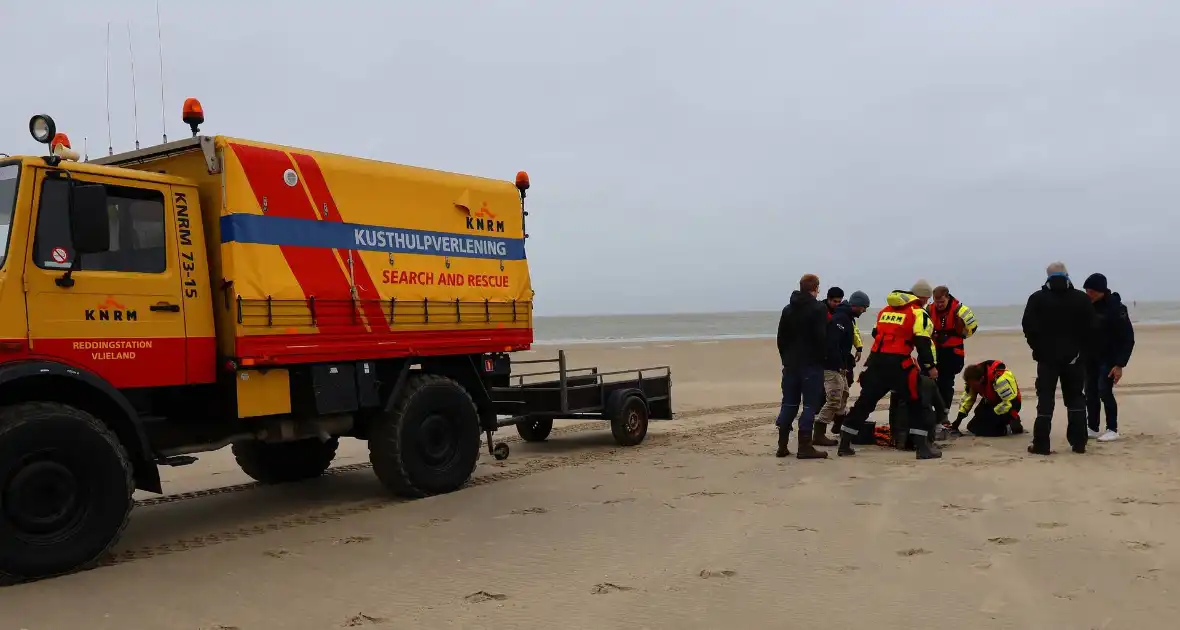 Bruinvis aangespoeld op strand - Foto 3