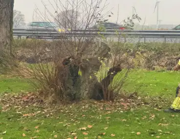 Brandweer ingezet voor brandende boomstronk