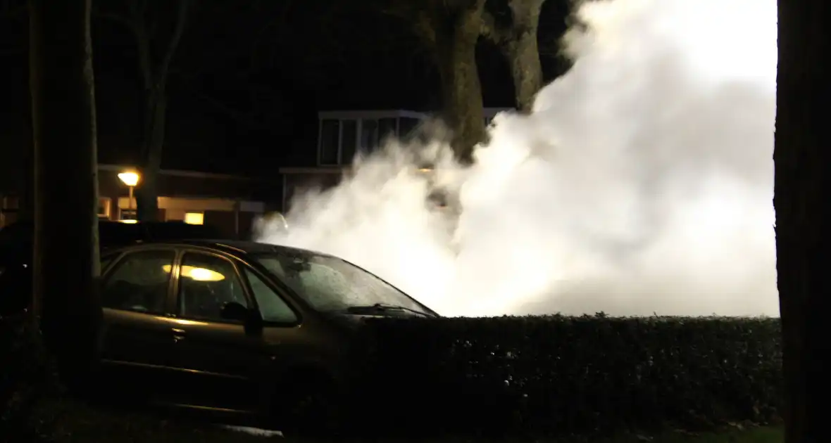 Geparkeerde auto's verwoest door brand - Foto 6