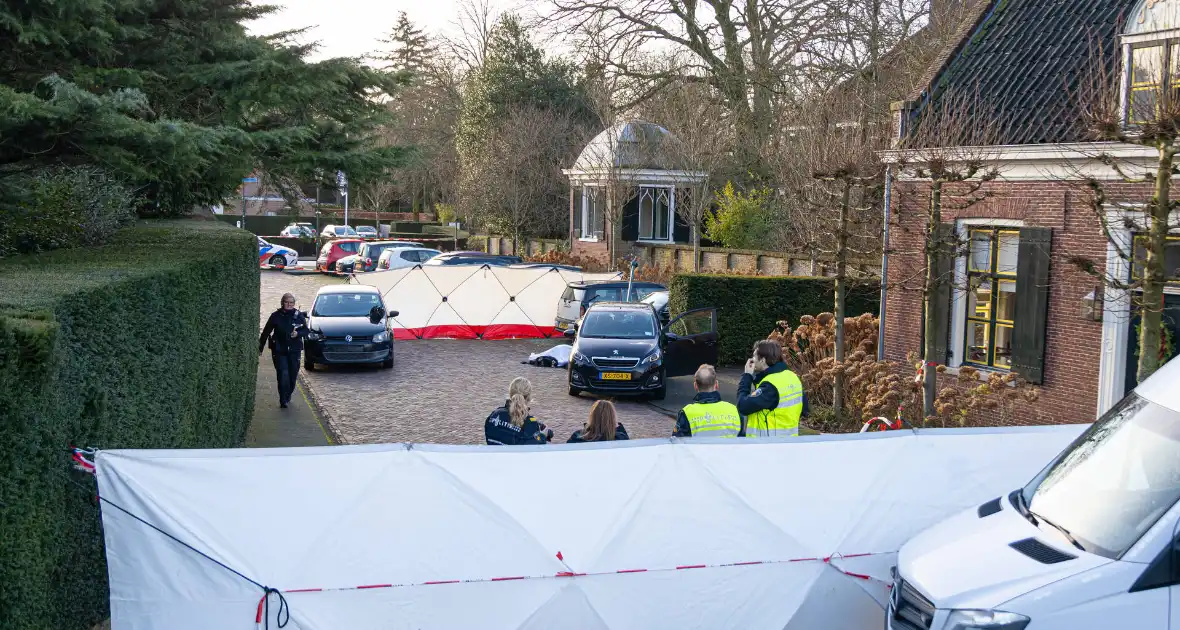 Voetganger overleden na aanrijding met lantaarnpaal - Foto 10