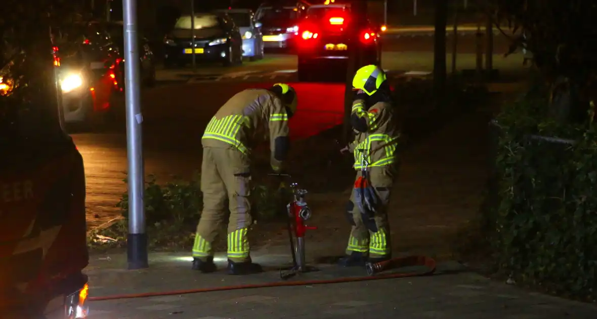 Brandweer blust kerstbomen - Foto 4