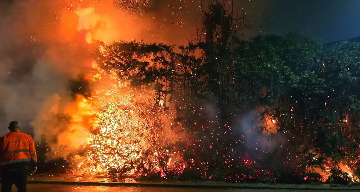 Brandende coniferen haag met tuinslangen geblust