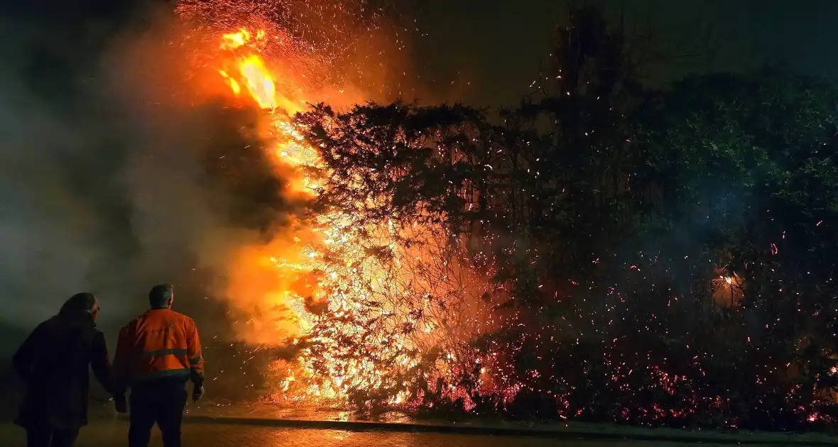 Brandende coniferen haag met tuinslangen geblust - Foto 1